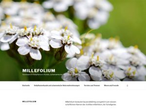 Millefolium - Maren Axt (2017)